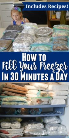 how to fill your freezer in 30 minutes a day - includes recipes and tips