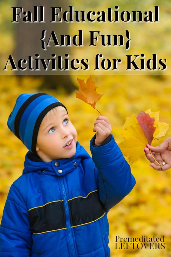 A child looking at a fall leaf - one of the education fall activities suggested.
