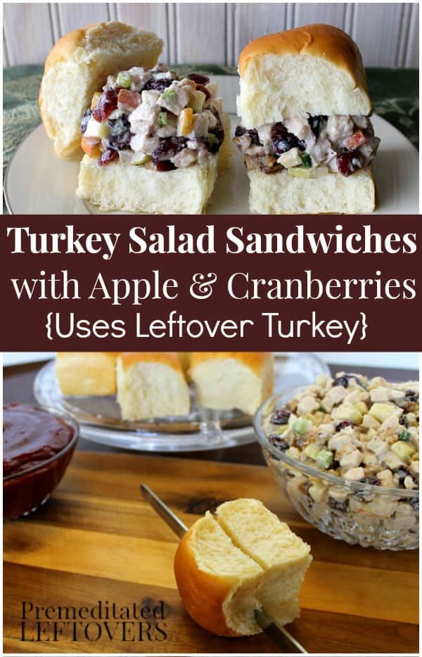 Turkey Salad Sandwiches with Apple and Cranberries Recipe with apples and cranberries - A Delicious way to use up leftover turkey from Thanksgiving