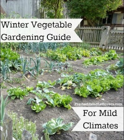 Winter Vegetable Gardening Guide for Mild Climates