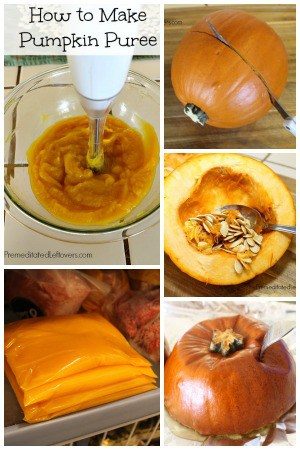 How to Roast a Pumpkin and How to Make Pumpkin Puree: Easy tips for roasting pumpkin, how to make pumpkin puree from scratch and how to freeze pumpkin puree to use in recipes.