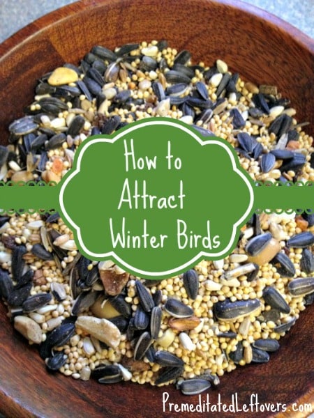 Tips for Attracting Winter Birds- Provide food and shelter for winter birds with these useful tips. You are sure to see some colorful visitors in your yard!