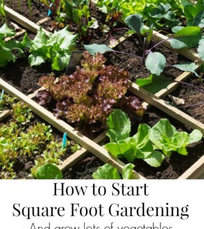 How to Start Square Foot Gardening- Learn how to grow a lot of vegetables in a small amount of space with the Square Foot Gardening method.