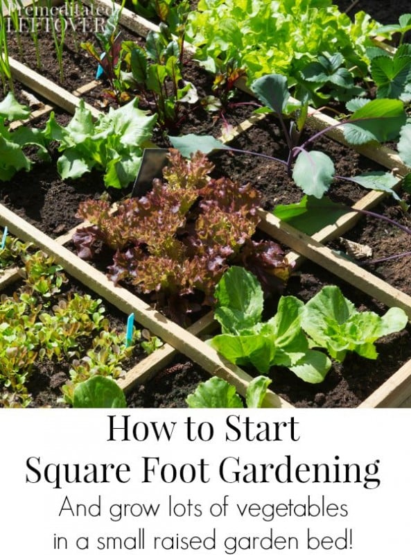 How to Start Square Foot Gardening