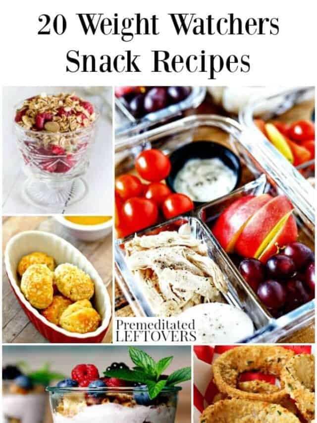 20 Satisfying Weight Watchers Snack Recipes Story Premeditated Leftovers™ 0758