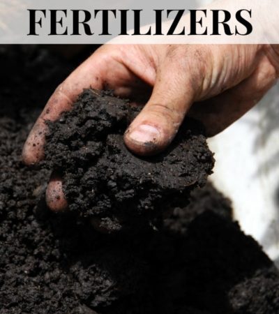 Top-10-organic-fertilizers-that-every-garden-needs-to-know-about