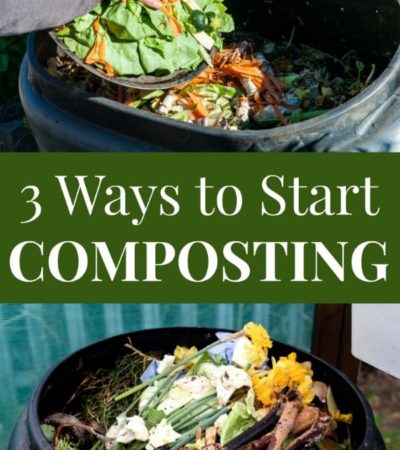 3 Ways to Start Composting