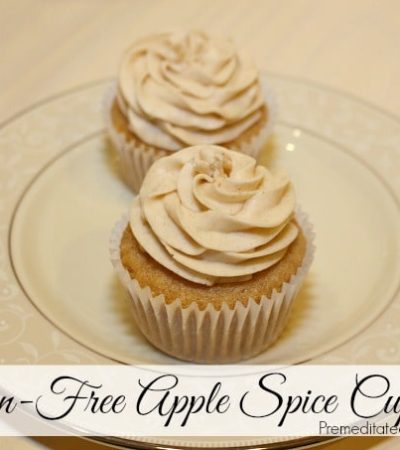 Gluten-Free Apple Spice Cupcake Recipe with Cinnamon Frosting