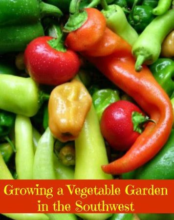 Tips for Growing a Vegetable Garden in the Southwest