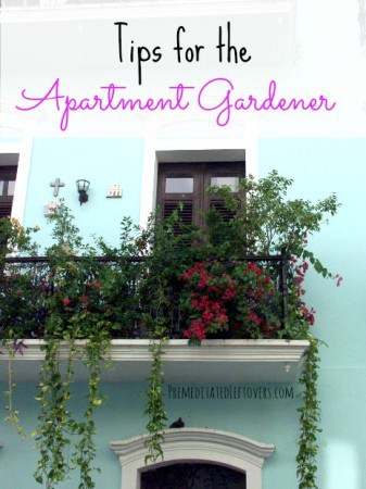 Urban Gardening Tips for the Apartment Gardener