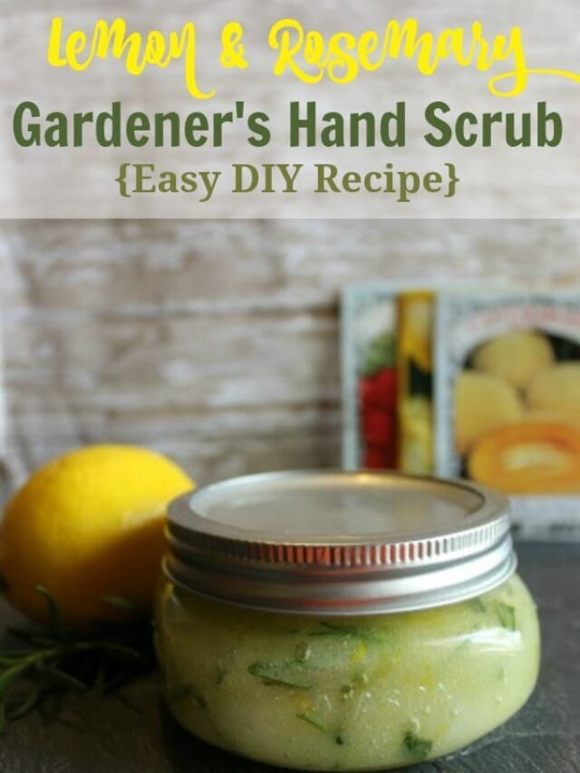 DIY Lemon and Rosemary Gardener’s Hand Scrub Story