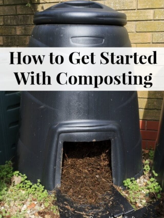 How to Get Started With Composting Story