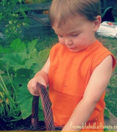 Tips for gardening with your kids