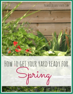 How to Get Your Yard Ready for Spring