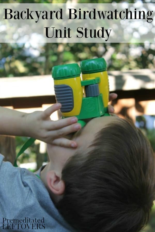 Child birdwatching with binoculars