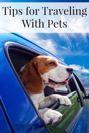 Tips for Traveling with Pets