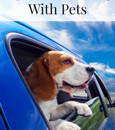 Tips for Traveling with Pets including how to easily travel with pets, staying in pet-friendly hotels and taking your dog on vacation.