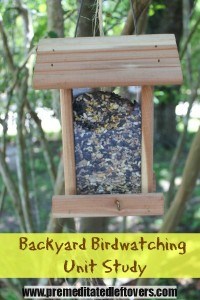 North American Backyard Birdwatching for All Seasons by Marcus H. Schneck