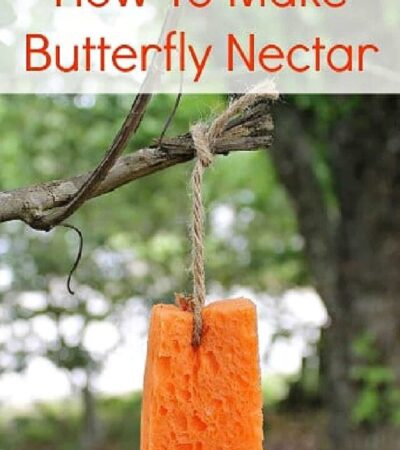 cropped-diy-butterfly-nectar-recipe.jpg