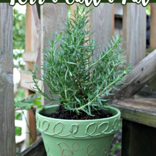 DIY Embossed Terra Cotta Pot