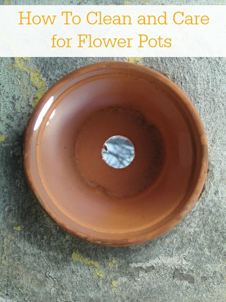 How to clean and care for your flower pots.