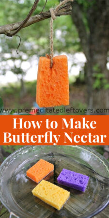 How to Make Butterfly Nectar