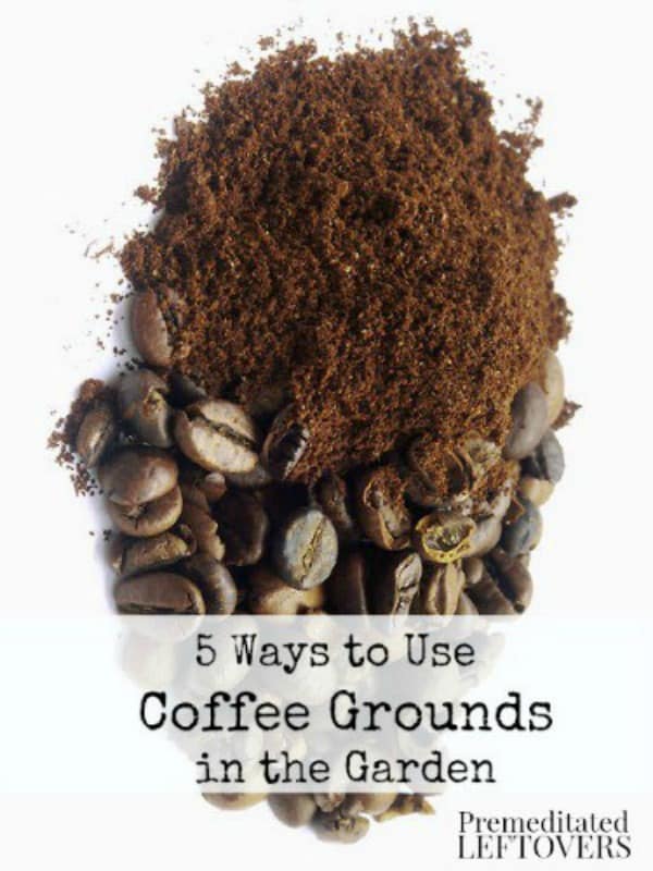 5 Ways To Use Coffee Grounds In Your Garden
