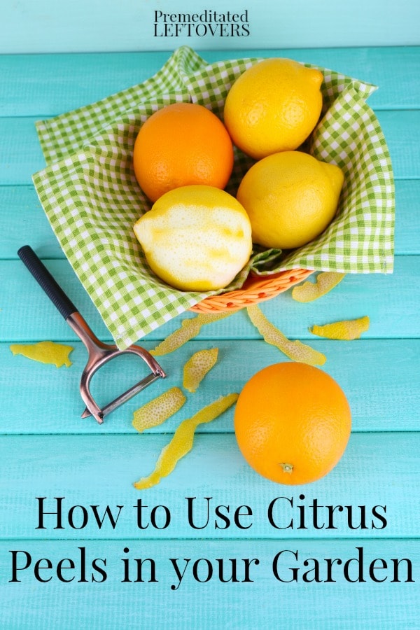 5 Ways to Use Citrus Peels in Your Garden including helping your compost, how to get rid of bugs in your garden and attracting butterflies with citrus peels