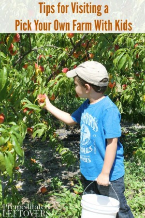 Tips For Visiting A Pick-Your-Own Farm With Kids