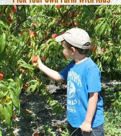 Tips for Visiting a Pick Your Own Farm With Kids
