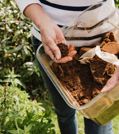 how to use old coffee grounds in your garden