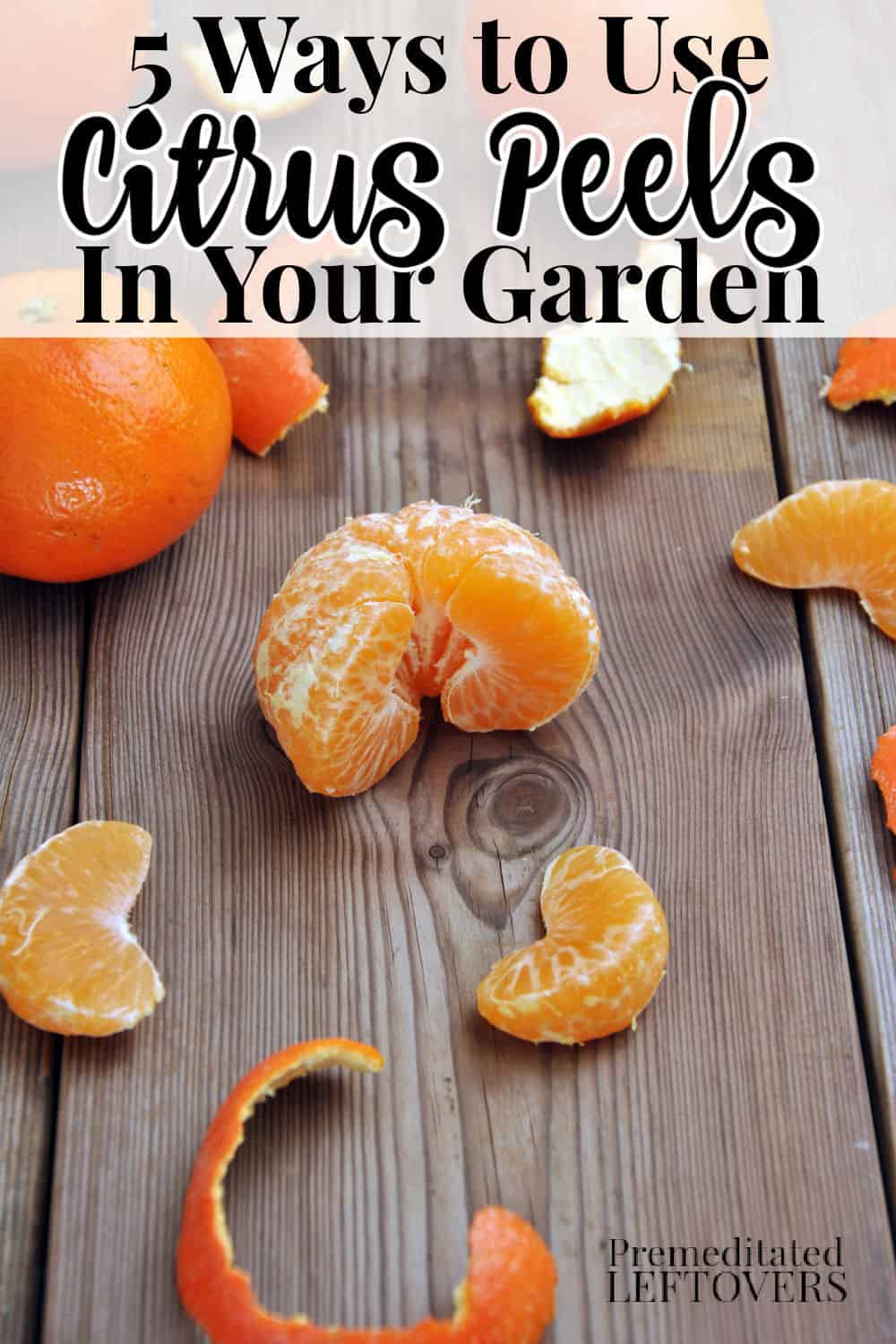 orange peels on a garden bench