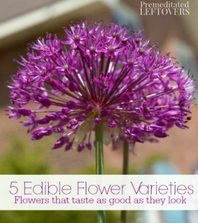5 Edible Flowers