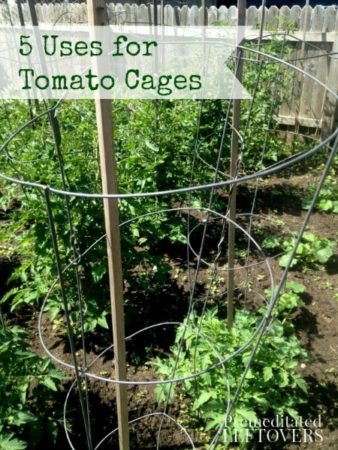 5 Vegetables You Can Grow Using Tomato Cages Besides Tomatoes