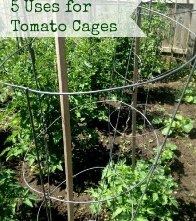 5 Vegetables you can grow in tomato cages