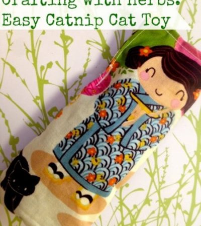 Easy DIY Catnip Cat Toy Tutorial - Make this frugal craft project using herbs and fabric scraps to create a catnip toy for your cats.