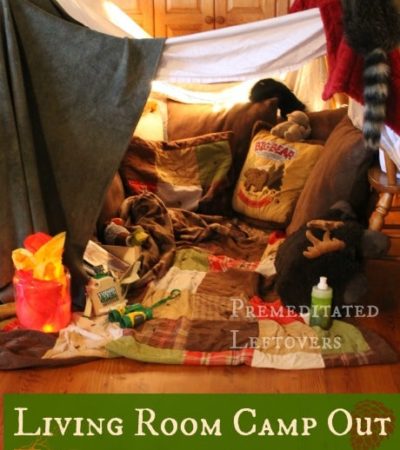 Living Room Camp out Ideas for Kids