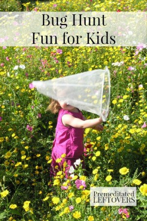 Bug Hunt Fun for Kids