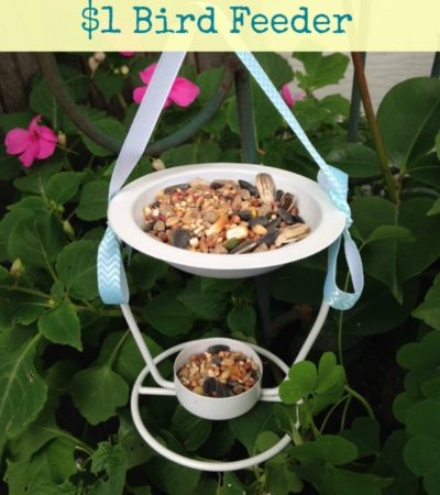 Dollar Store DIY: $1 Bird Feeder. Use a dollar store oil burner and leftover ribbon and paint from your craft bin to create to make this bird feeder.