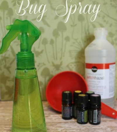 How to Make Natural Homemade Insect Repellent