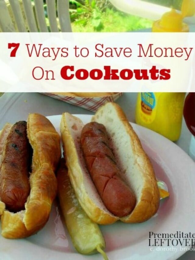 7 Ways to Save Money on Cookouts Story