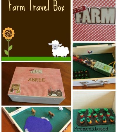 diy farm travel box
