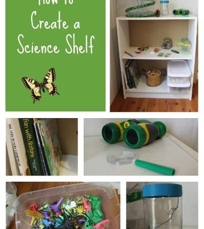 How to Create a DIY science shelf