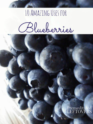 10 Ways to Use Up Blueberries