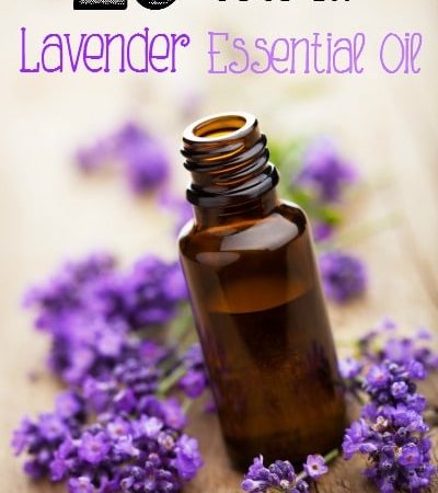 20 uses for lavender essential oil