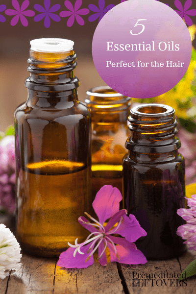 5 Essential Oils for Your Hair - Essential oils can make great natural hair treatments. Take a look at these five essentials for healthy hair.
