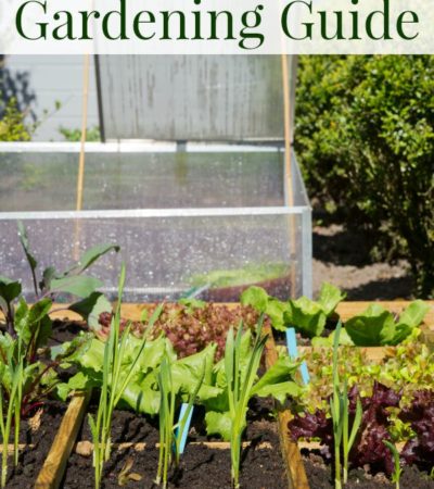 Fall Vegetable Gardening Guide - Extend your garden by growing vegetables in the fall. Plants that can grow well in the fall and tips for fall gardening.