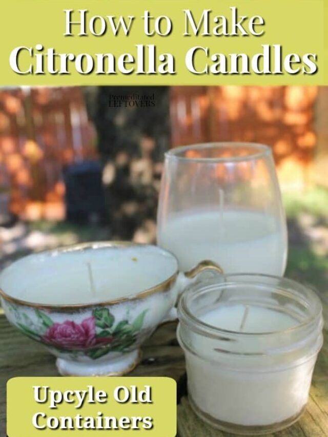 How to Make Citronella Candles Story