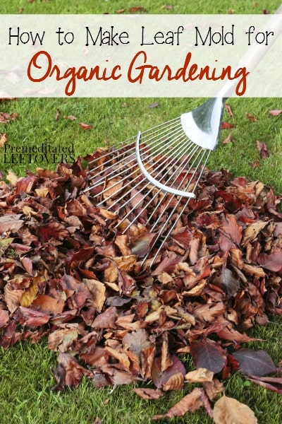 How to Make Leaf Mold for Organic Gardening - tips for using the leaves from your yard to create leaf mold so you can use leaf mold in your garden soil.