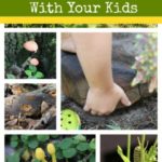Tips for Going on a Nature Walk With Kids - Where and What to look for on a nature walk with kids and what items to bring on a nature walk with kids .